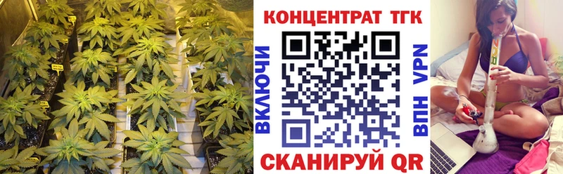 Дистиллят ТГК гашишное масло OMG tor Михайлов