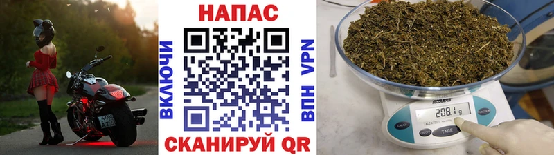кракен сайт  Михайлов  Канабис ГИДРОПОН 